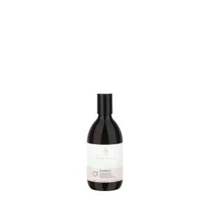Holy Curls 01 Shampoo 300ml