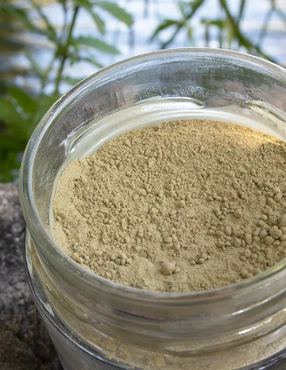 Gaia Henna Blonde 175g - Imagen 4